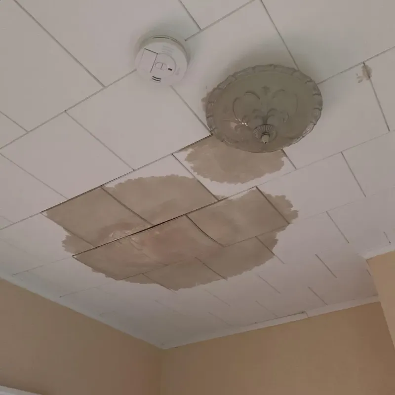 Ceiling Water Damage Repair in Tolland County, CT