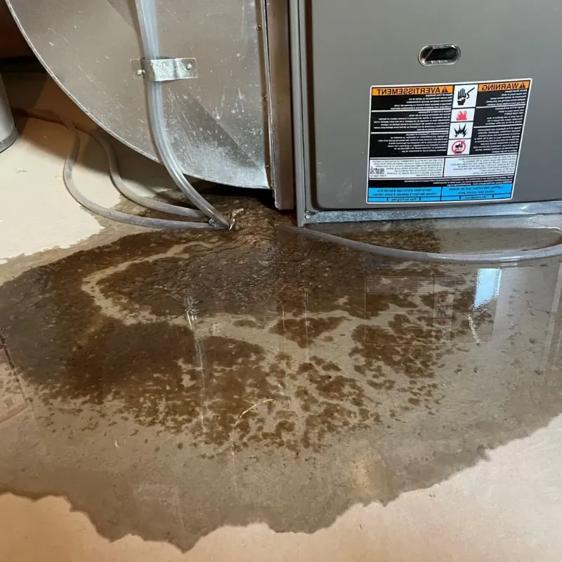 Pipe Burst and Leak Restoration in Tolland County, CT