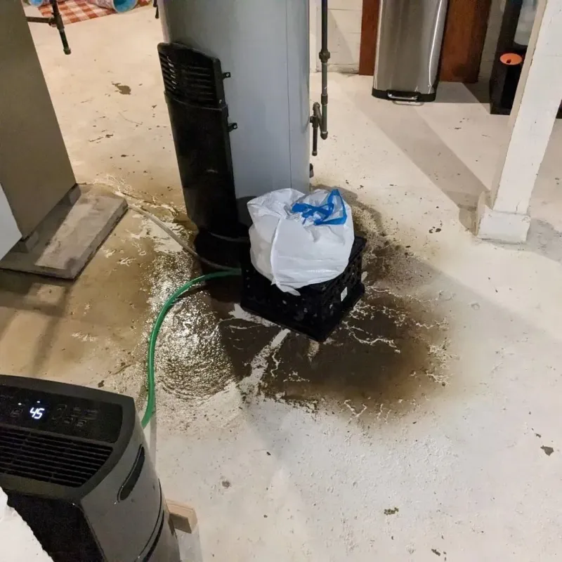Sewage Backup Cleanup Service in Tolland County, CT